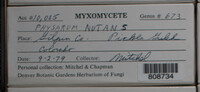 Image Associated With the Occurence